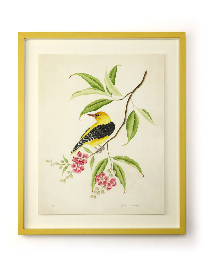 Golden Oriole Embellished Art Print - Diane Hill