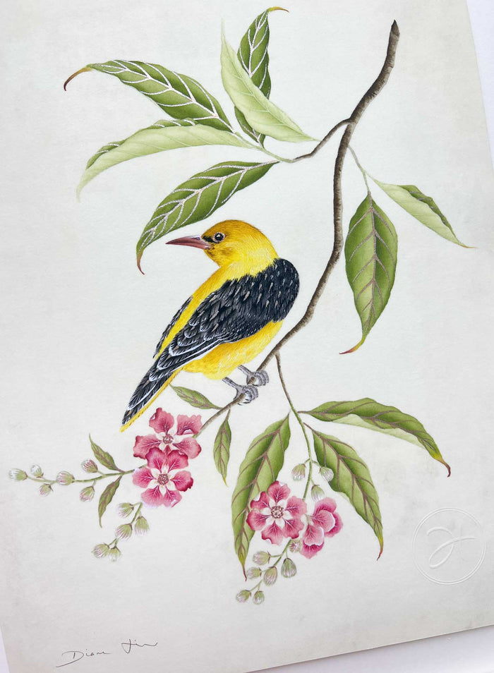 Golden Oriole Embellished Art Print - Diane Hill