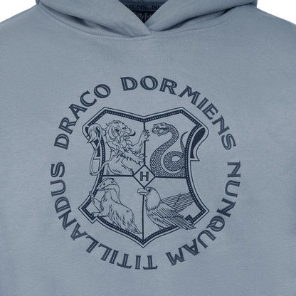 Hogwarts Crest Online Exclusive Hoodie