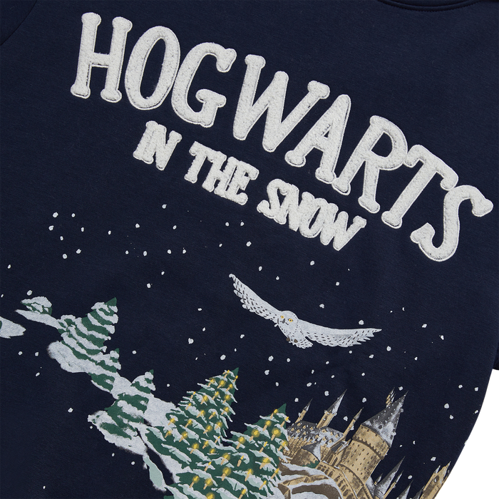 Hogwarts in the Snow Hoodie