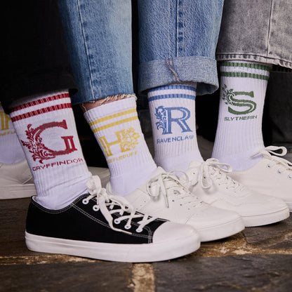 House Mascot Socks