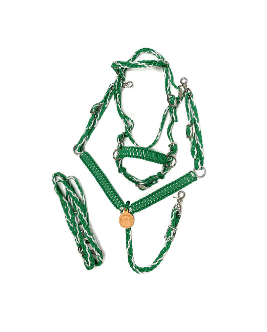 Pony Set- Kelly green and silver - Tiffanys Braided Tack LLC