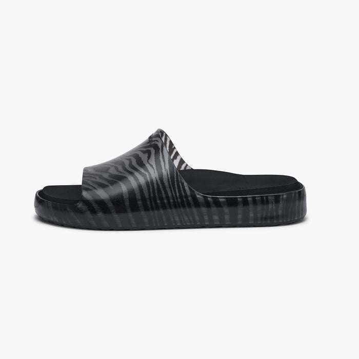 Black Zebra / 36