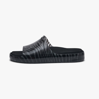 Black Zebra / 36