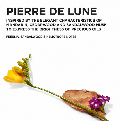 Kérastase Elixir Ultimate Spring Duo Set