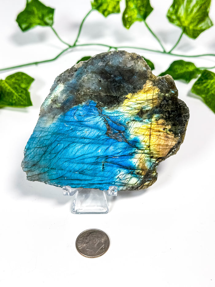 Labradorite Slab (16A)
