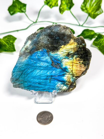 Labradorite Slab (16A)