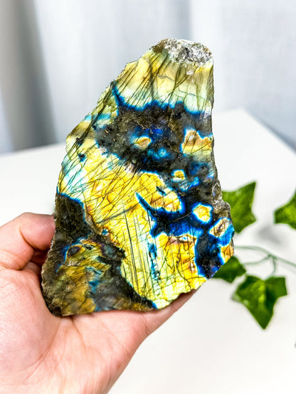 Labradorite Slab (24B)