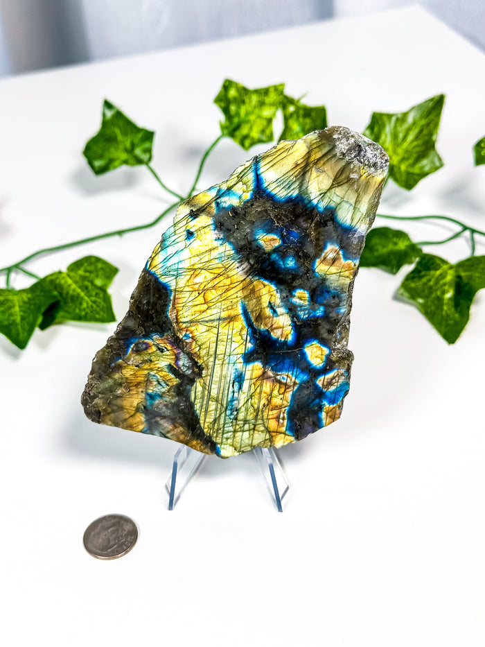 Labradorite Slab (24B)