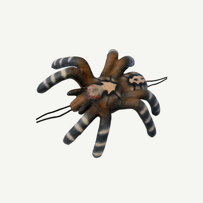 Leitold Kleine Vogelspinne