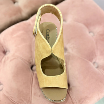 Let's Talk About It Wedge