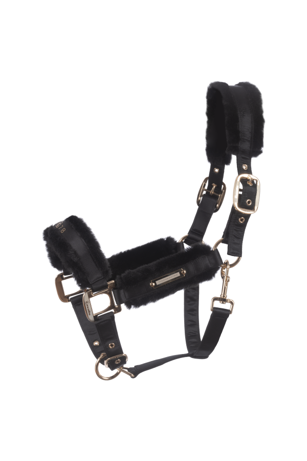 Lucile Halter & Lonni Lead