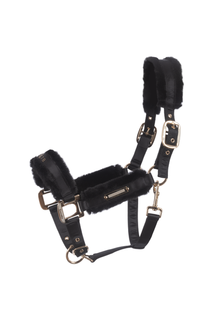 Lucile Halter & Lonni Lead