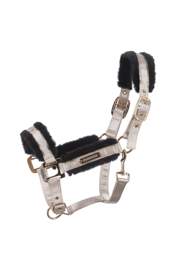 Lucile Halter & Lonni Lead