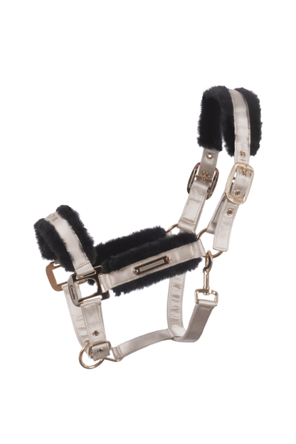 Lucile Halter & Lonni Lead
