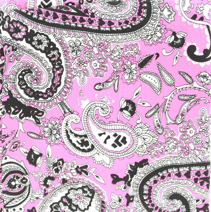 Hot Pink Paisley