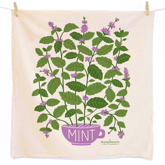 Mint  Towel/Sponge Set