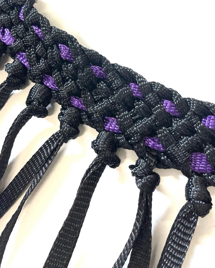 Mule tape horse tripping collar black with purple lacing