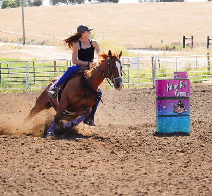 Mule tape horse tripping collar black with purple lacing