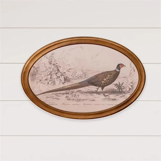 Oval Framed Pheasant Print 16 x 24