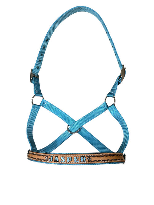 Personalized blue Nylon cow halter all sizes.