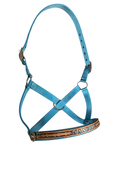 Personalized blue Nylon cow halter all sizes.