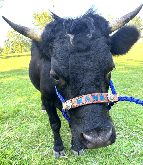 Personalized COW  halter small mini cow or large cow - Tiffanys Braided Tack LLC