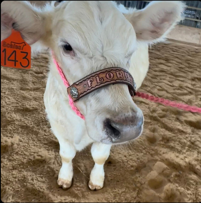 Personalized COW  halter small mini cow or large cow - Tiffanys Braided Tack LLC