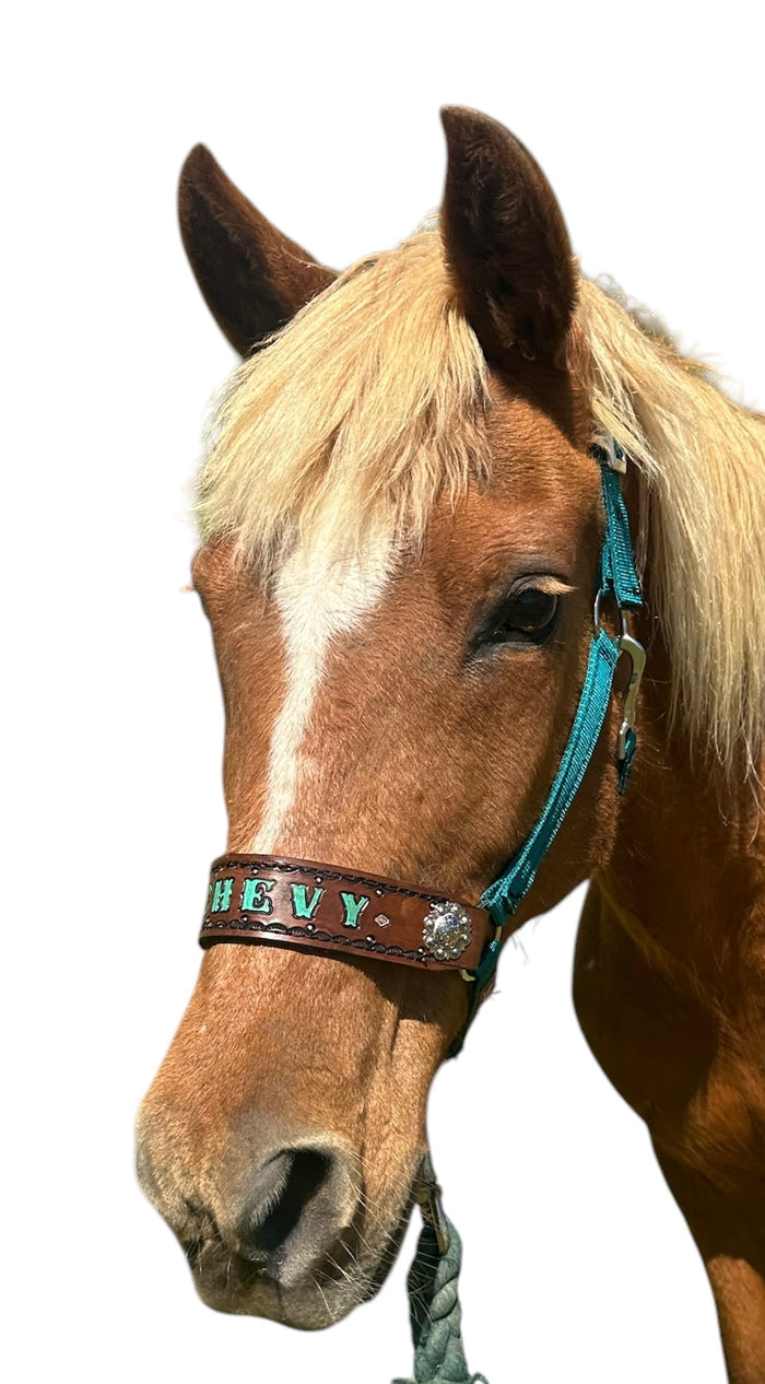 PERSONALIZED   nylon horse halter dark teal