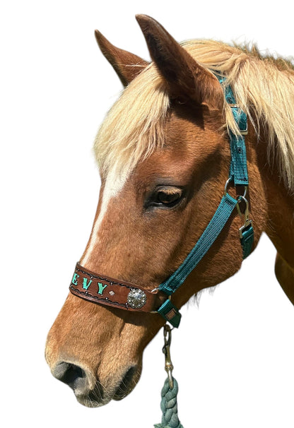 PERSONALIZED   nylon horse halter dark teal