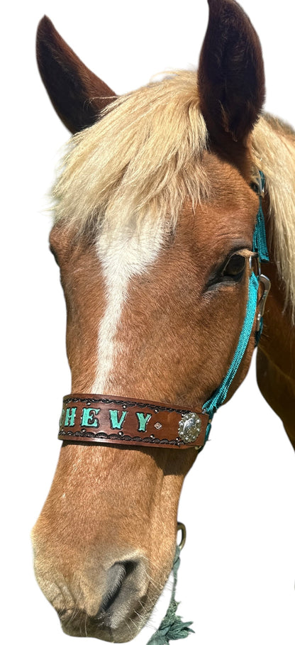 PERSONALIZED   nylon horse halter dark teal