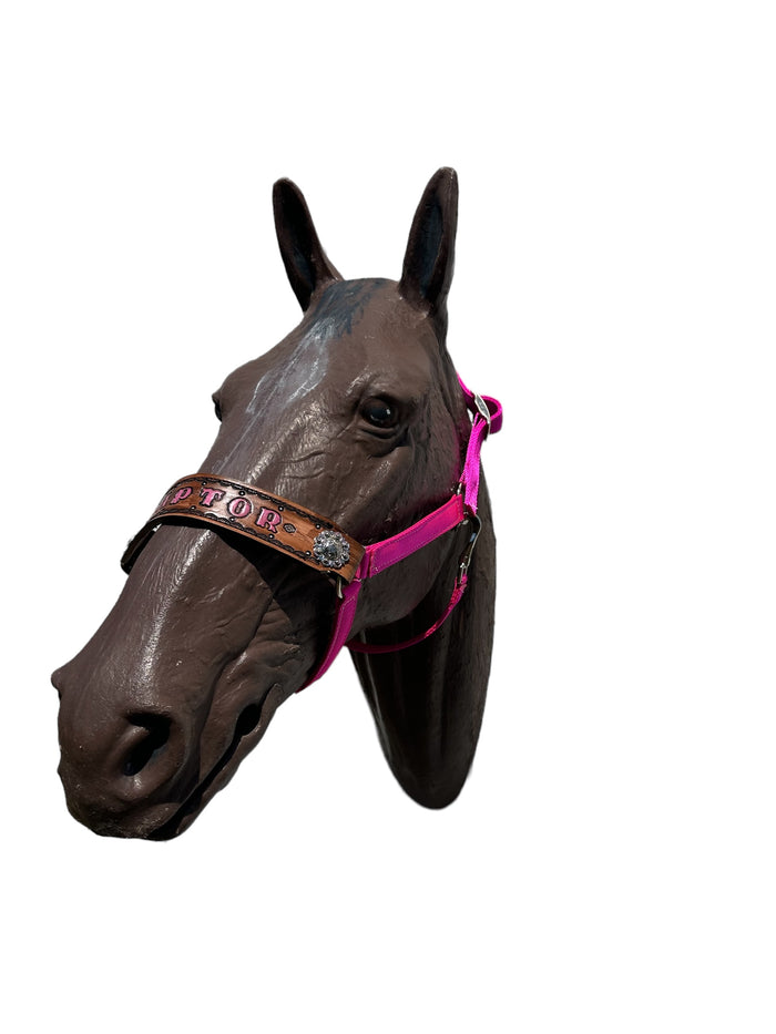PERSONALIZED   nylon horse halter fuchsia.