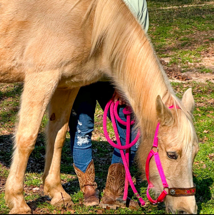 PERSONALIZED   nylon horse halter fuchsia.