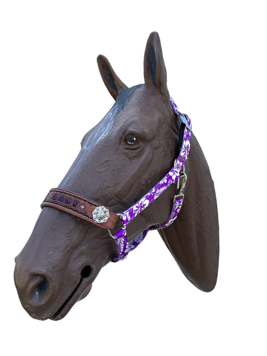 PERSONALIZED purple  nylon horse halter