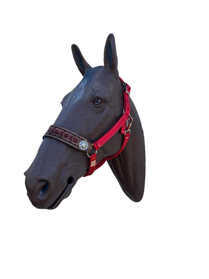 PERSONALIZED red nylon horse halter.