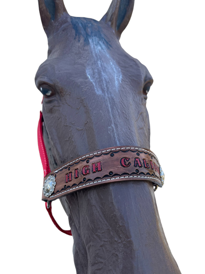 PERSONALIZED red nylon horse halter.