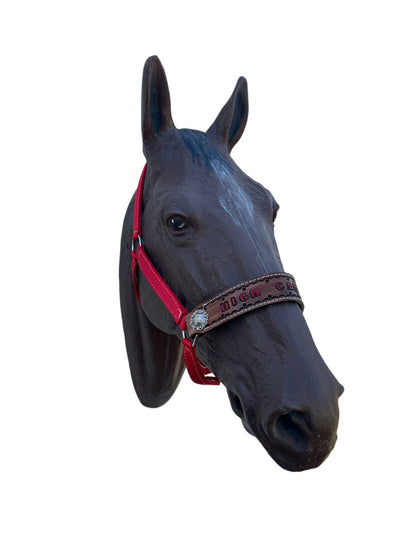 PERSONALIZED red nylon horse halter.
