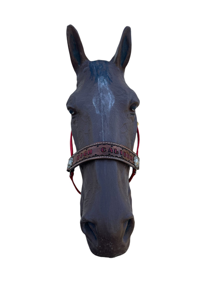 PERSONALIZED red nylon horse halter.