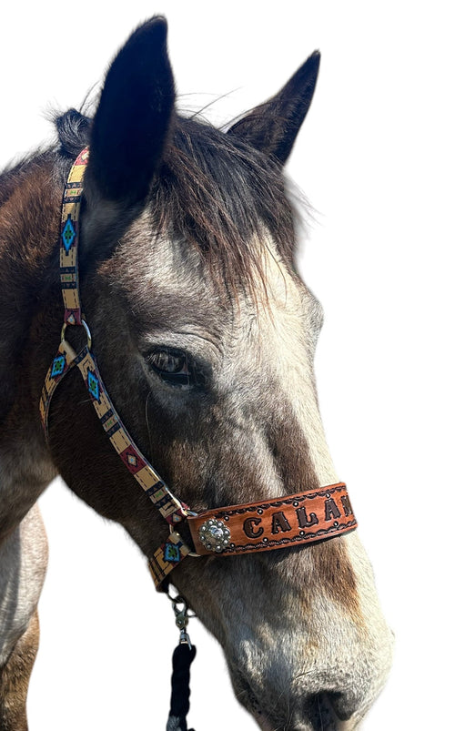 PERSONALIZED tan tribal nylon horse halter