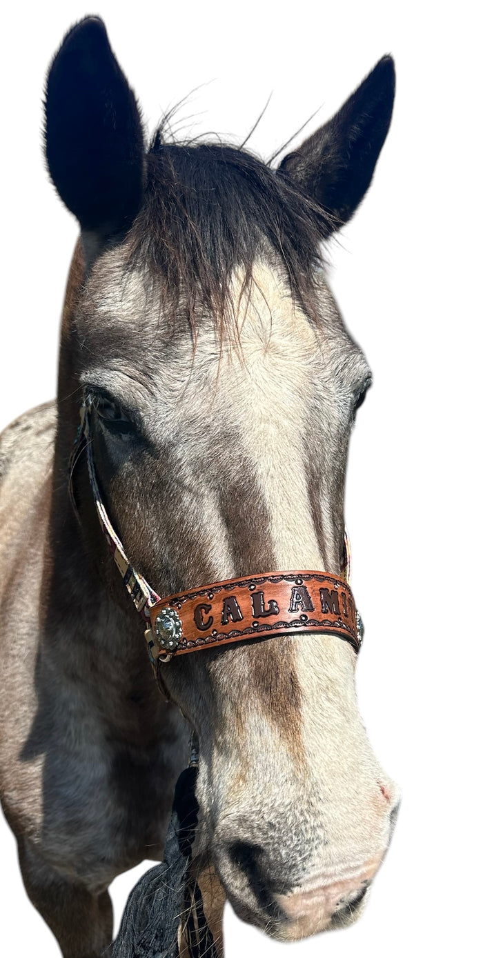PERSONALIZED tan tribal nylon horse halter