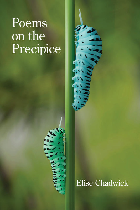 Poems on the Precipice