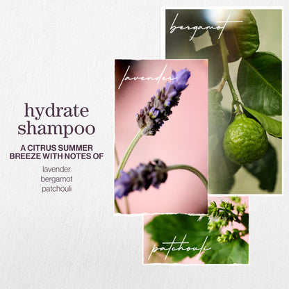 Pureology Hydrate Shampoo