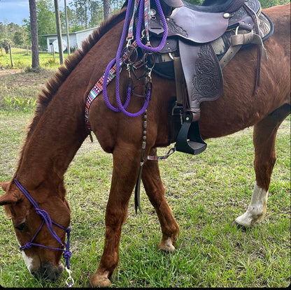Purple tribal  print  tack set breast collar nylon horse size