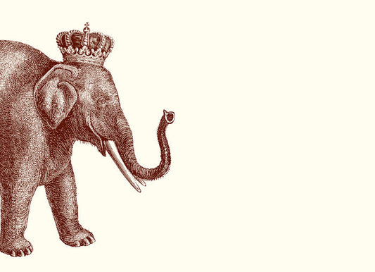Lucky Elephant A7 Notes