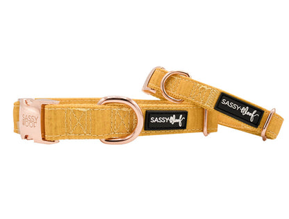 SASSY WOOF Sunflower Fields Dog Collar