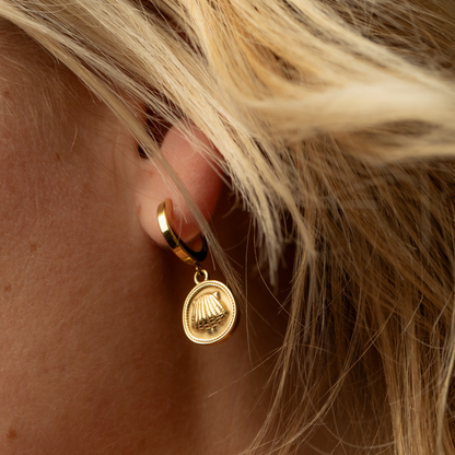 Scallop Coin Ohrring Gold