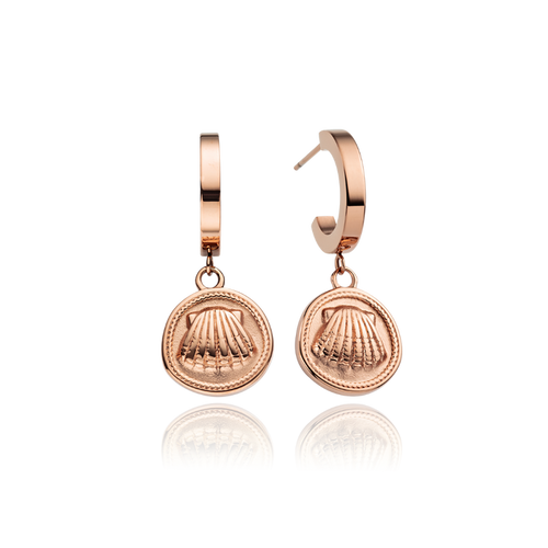 Scallop Coin Ohrring Roségold
