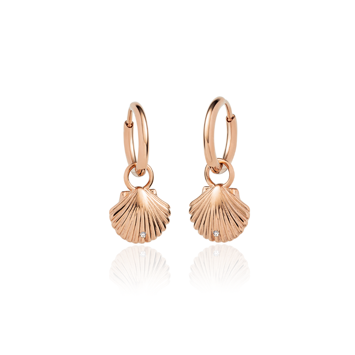 Scallop Ohrring Roségold