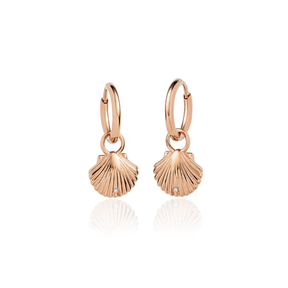 Scallop Ohrring Roségold