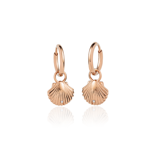 Scallop Ohrring Roségold